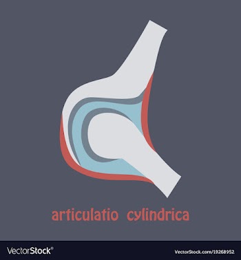 Knee joint health care icon flat vector image
