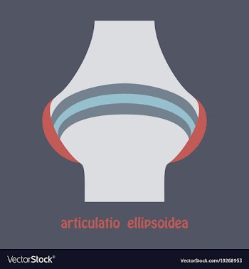 Knee joint health care icon flat vector image