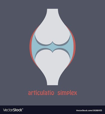 Knee joint health care icon flat vector image