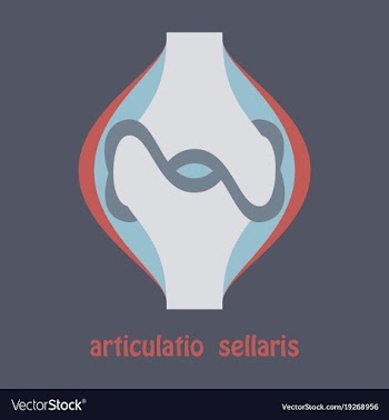 Knee joint health care icon flat vector image