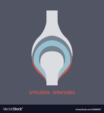 Knee joint health care icon flat vector image
