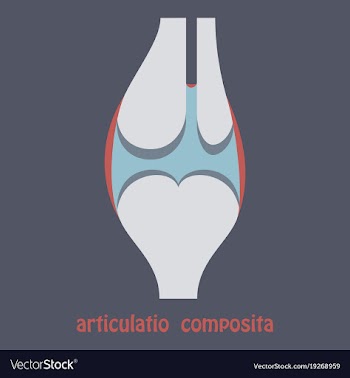 Knee joint health care icon flat vector image