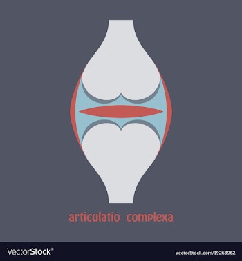 Knee joint health care icon flat vector image