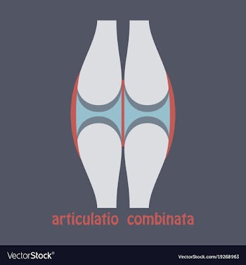 Knee joint health care icon flat vector image