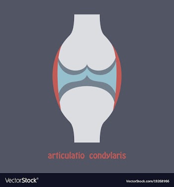 Knee joint health care icon flat vector image