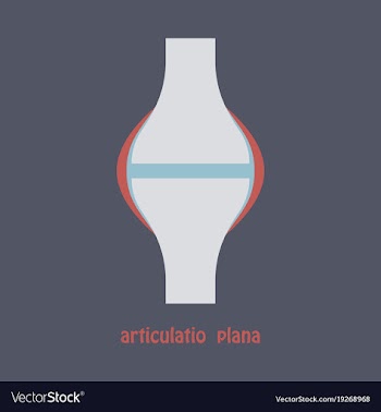 Knee joint health care icon flat vector image
