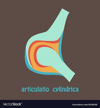 Knee joint health care icon flat vector image