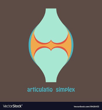 Knee joint health care icon flat vector image
