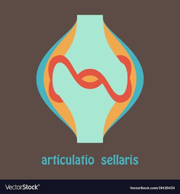 Knee joint health care icon flat vector image