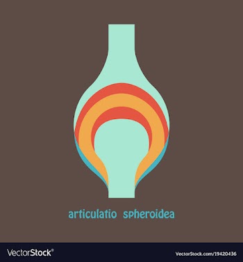 Knee joint health care icon flat vector image