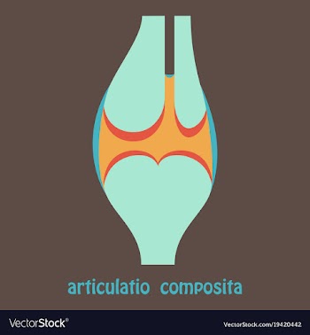 Knee joint health care icon flat vector image
