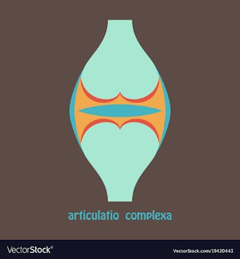 Knee joint health care icon flat vector image