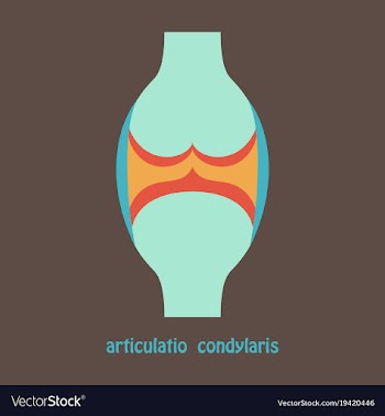Knee joint health care icon flat vector image