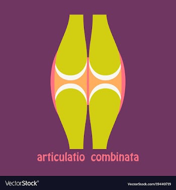 Knee joint health care icon flat vector image