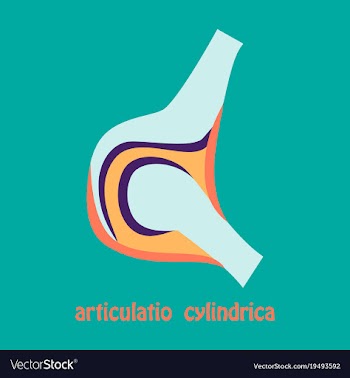 Knee joint health care icon flat vector image