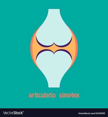 Knee joint health care icon flat vector image