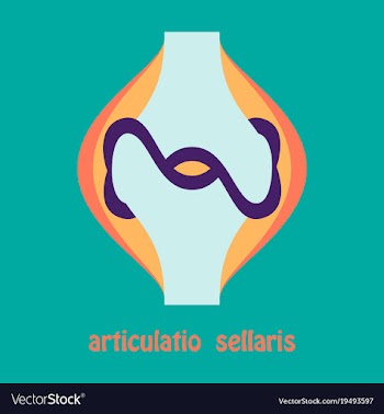 Knee joint health care icon flat vector image