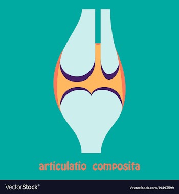 Knee joint health care icon flat vector image
