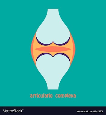 Knee joint health care icon flat vector image