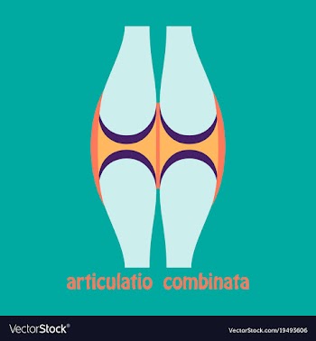 Knee joint health care icon flat vector image