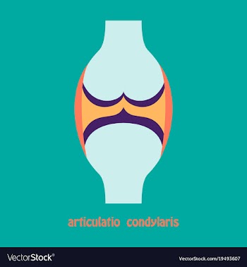 Knee joint health care icon flat vector image