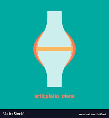 Knee joint health care icon flat vector image