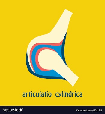 Knee joint health care icon flat vector image
