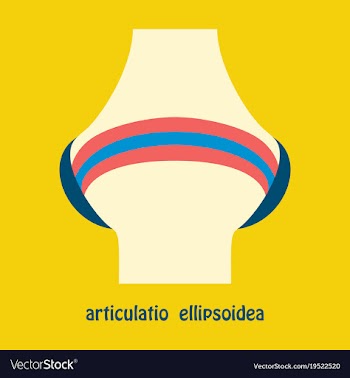 Knee joint health care icon flat vector image