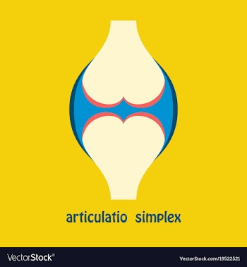 Knee joint health care icon flat vector image