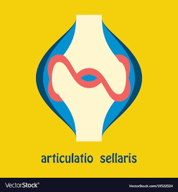 Knee joint health care icon flat vector image