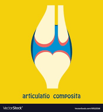 Knee joint health care icon flat vector image