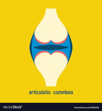 Knee joint health care icon flat vector image