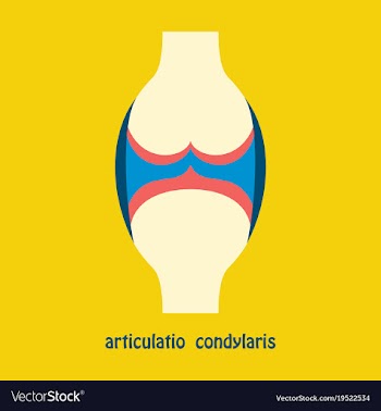 Knee joint health care icon flat vector image