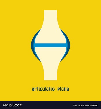 Knee joint health care icon flat vector image