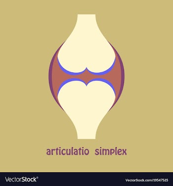 Knee joint health care icon flat vector image
