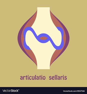 Knee joint health care icon flat vector image