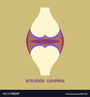 Knee joint health care icon flat vector image