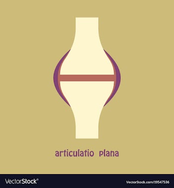 Knee joint health care icon flat vector image