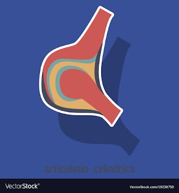 Knee joint health care icon sticker vector image