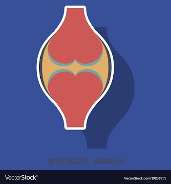 Knee joint health care icon sticker vector image