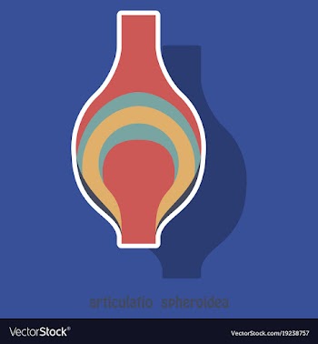 Knee joint health care icon sticker vector image