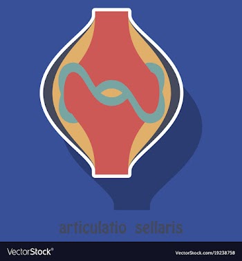 Knee joint health care icon sticker vector image