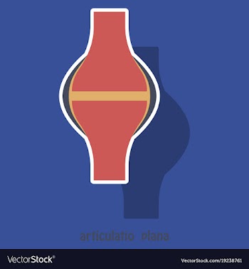 Knee joint health care icon sticker vector image
