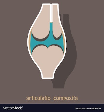 Knee joint health care icon sticker vector image