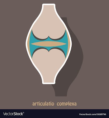 Knee joint health care icon sticker vector image