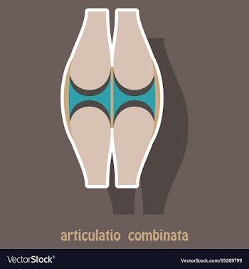 Knee joint health care icon sticker vector image