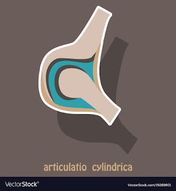 Knee joint health care icon sticker vector image