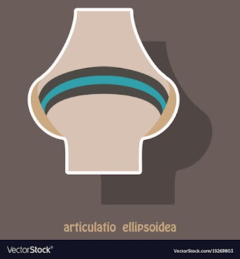 Knee joint health care icon sticker vector image