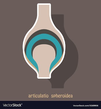 Knee joint health care icon sticker vector image