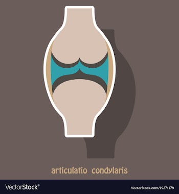 Knee joint health care icon sticker vector image